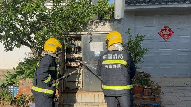 太調(diào)皮！一條菜花蛇鉆進電表箱……:電表計量箱